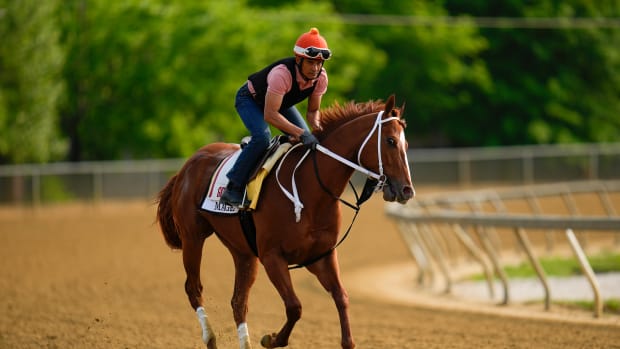 Kentucky Derby winner Mage works out ahead of the Preakness Stakes.
